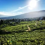 El Esquilon Tenerife *