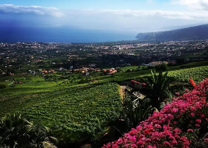 El Esquilon Tenerife 度假居 拉奥罗塔瓦